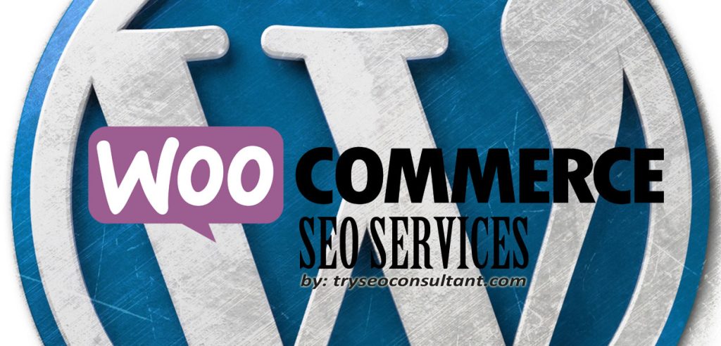 Woocommerce Seo Service